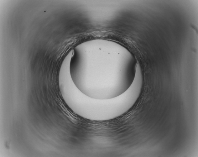 X0000099581444200806131308