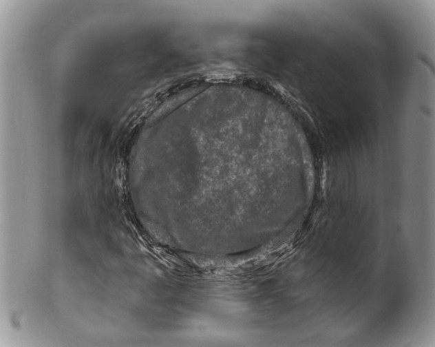 X0000099581445200806131307