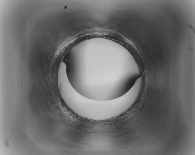 X0000099581448200806131307