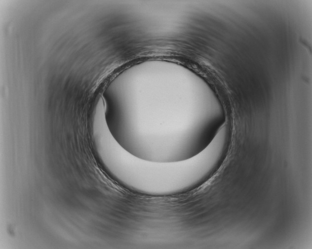 X0000099581449200806131307