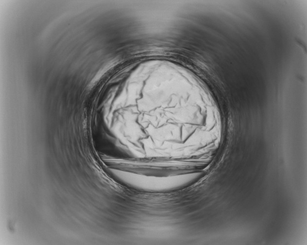 X0000099581450200806131307