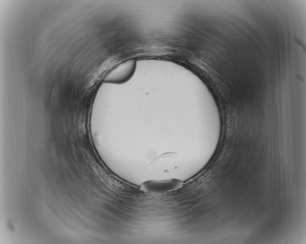 X0000099581451200806131307