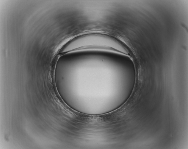 X0000099581452200806131307