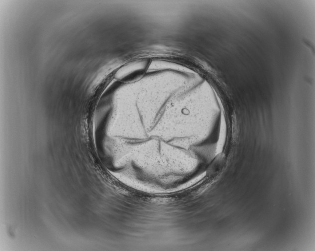 X0000099581453200806131307