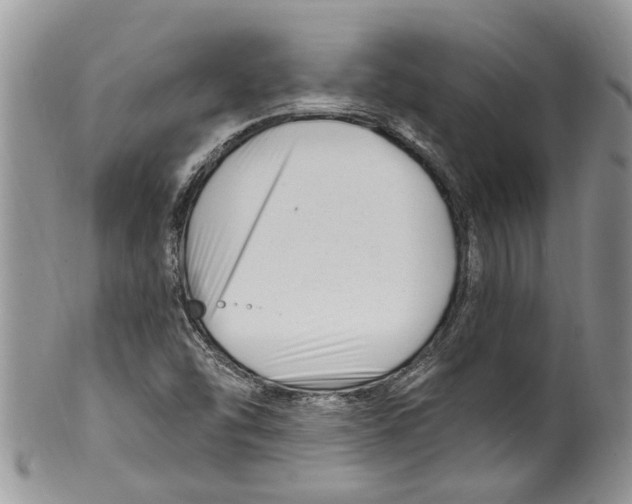 X0000099581454200806131307