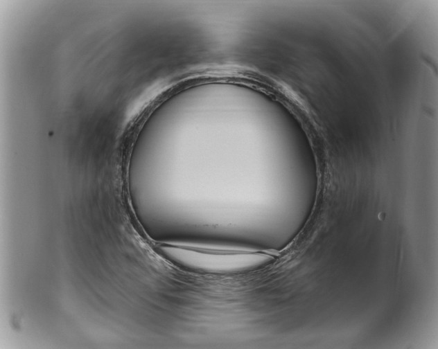 X0000099581456200806131307