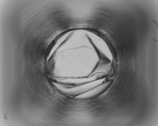 X0000099581457200806131307