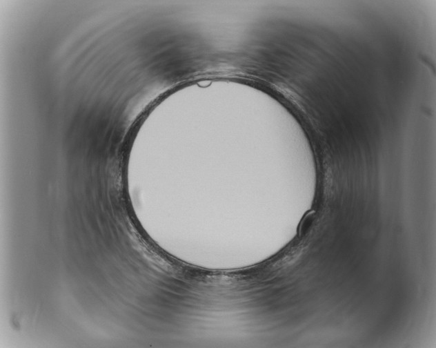 X0000099581458200806131307