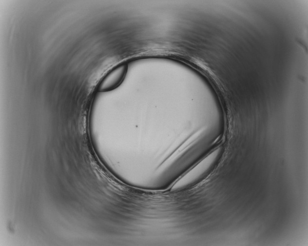 X0000099581459200806131307