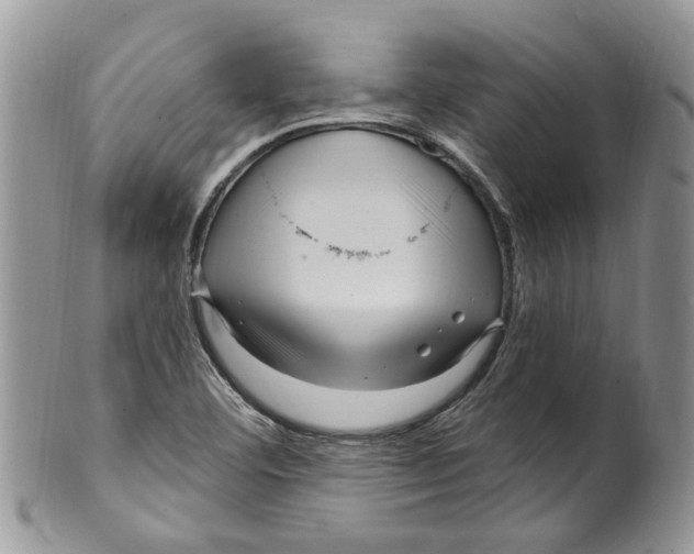 X0000099581460200806131307