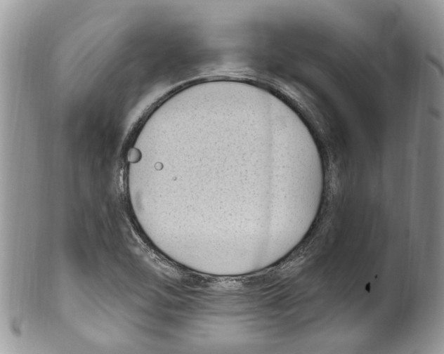 X0000099581462200806131307