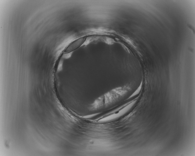 X0000099581463200806131307