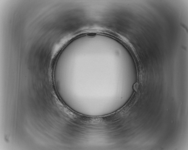 X0000099581464200806131307