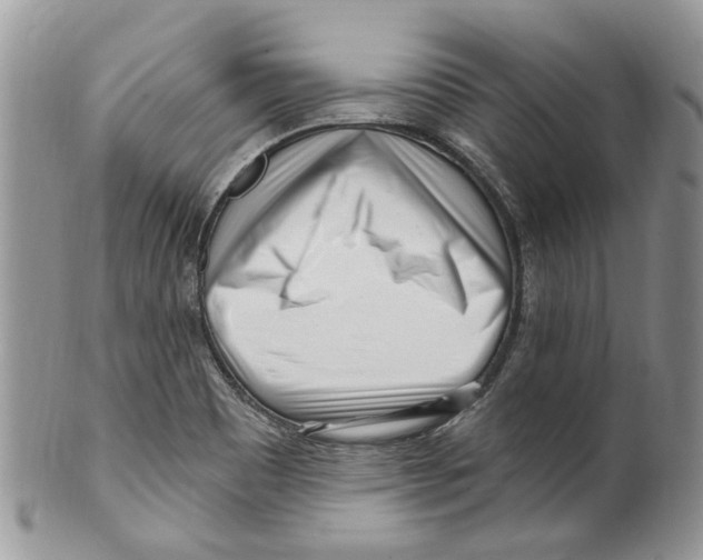 X0000099581465200806131307