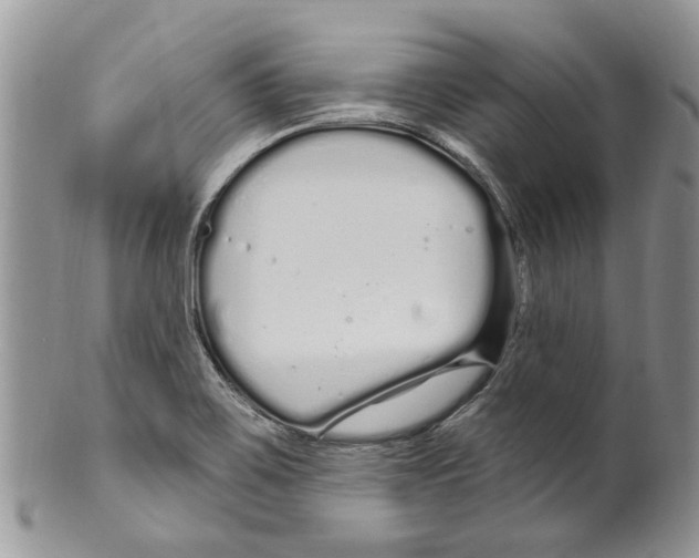 X0000099581467200806131307