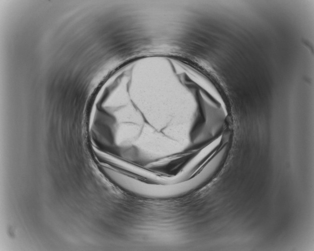 X0000099581469200806131307