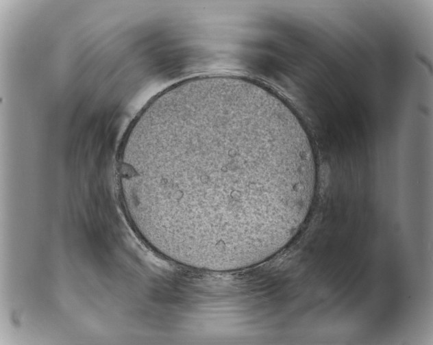 X0000099581470200806131307