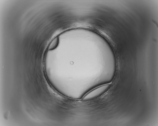 X0000099581471200806131307