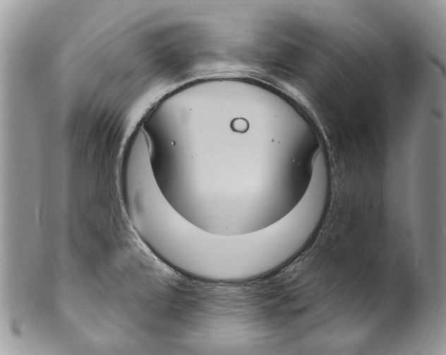 X0000099581472200806131307