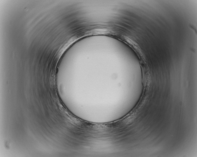 X0000099581473200806131307