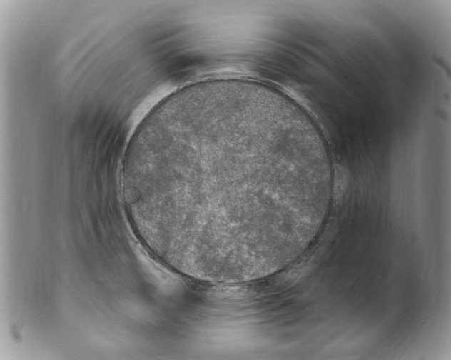 X0000099581474200806131307