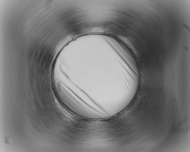 X0000099581475200806131307