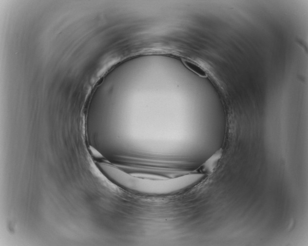 X0000099581476200806131307