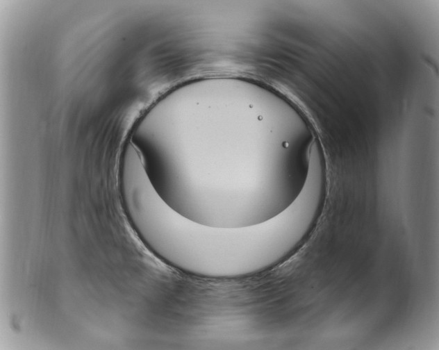 X0000099581477200806131307