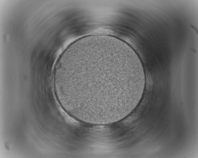 X0000099581478200806131307