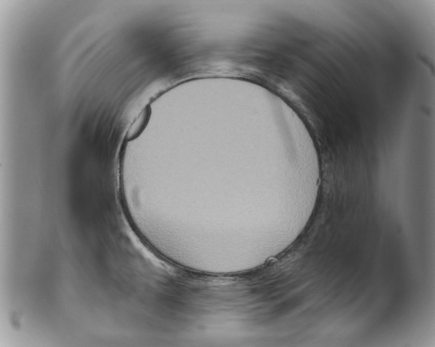 X0000099581479200806131307