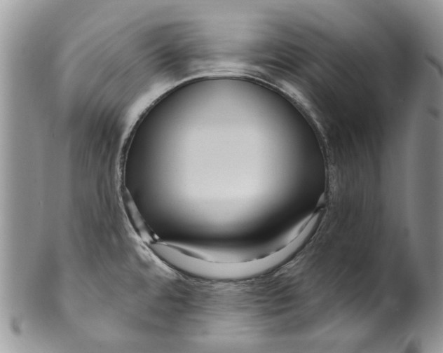 X0000099581480200806131307