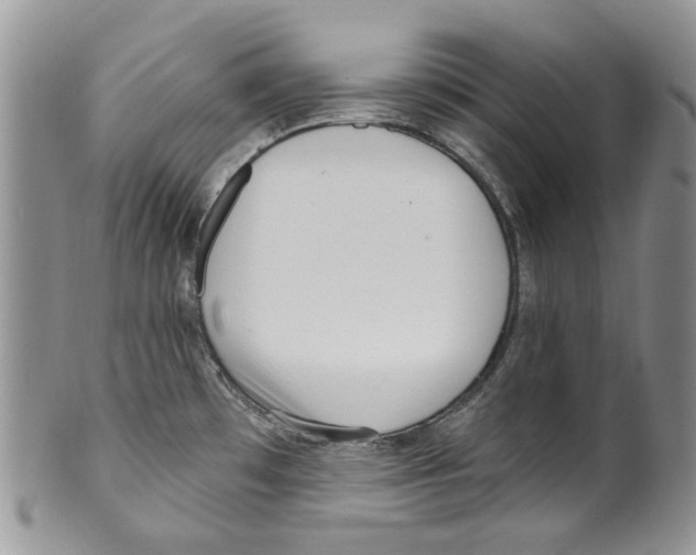 X0000099581481200806131307