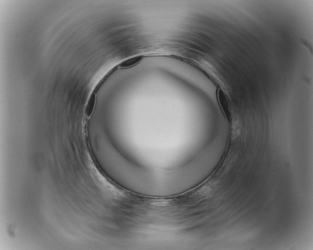 X0000099581484200806131307