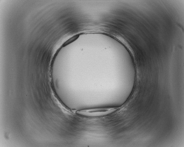 X0000099581485200806131307