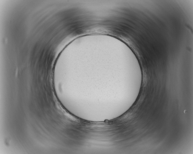 X0000099581486200806131307