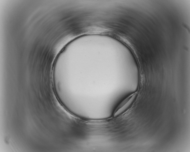 X0000099581487200806131307