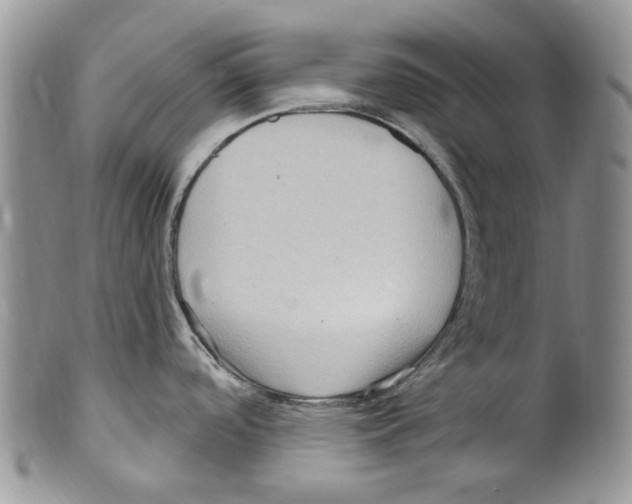 X0000099581488200806131307