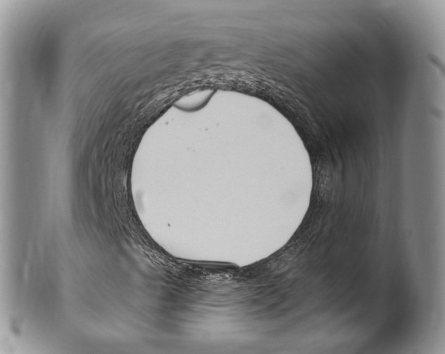 X0000099581489200806131306