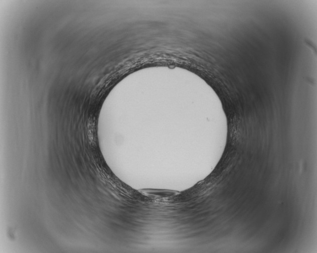 X0000099581490200806131306