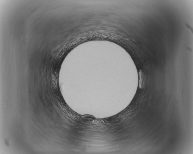 X0000099581491200806131306