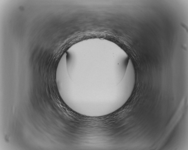 X0000099581492200806131306