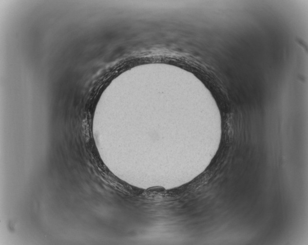 X0000099581493200806131306