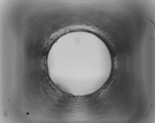 X0000099581494200806131306