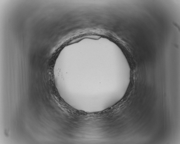 X0000099581496200806131306