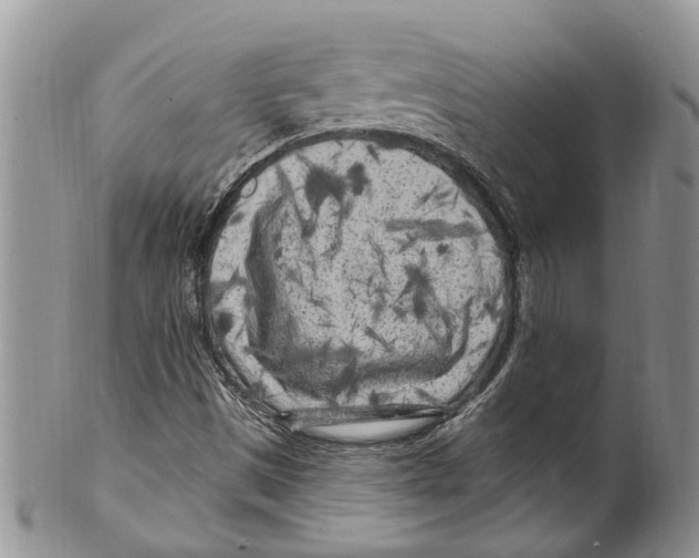X0000099581497200806131306