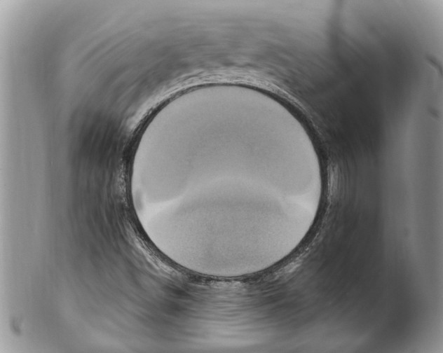 X0000099581498200806131306