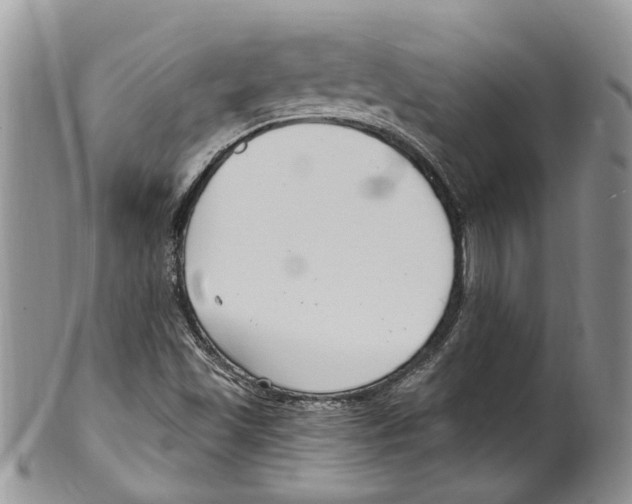 X0000099581501200806131306