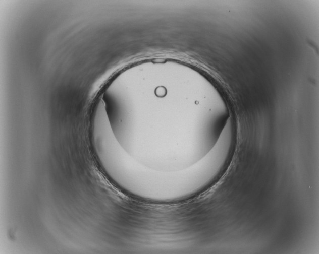 X0000099581502200806131306