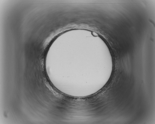 X0000099581503200806131306