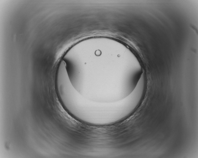 X0000099581504200806131306